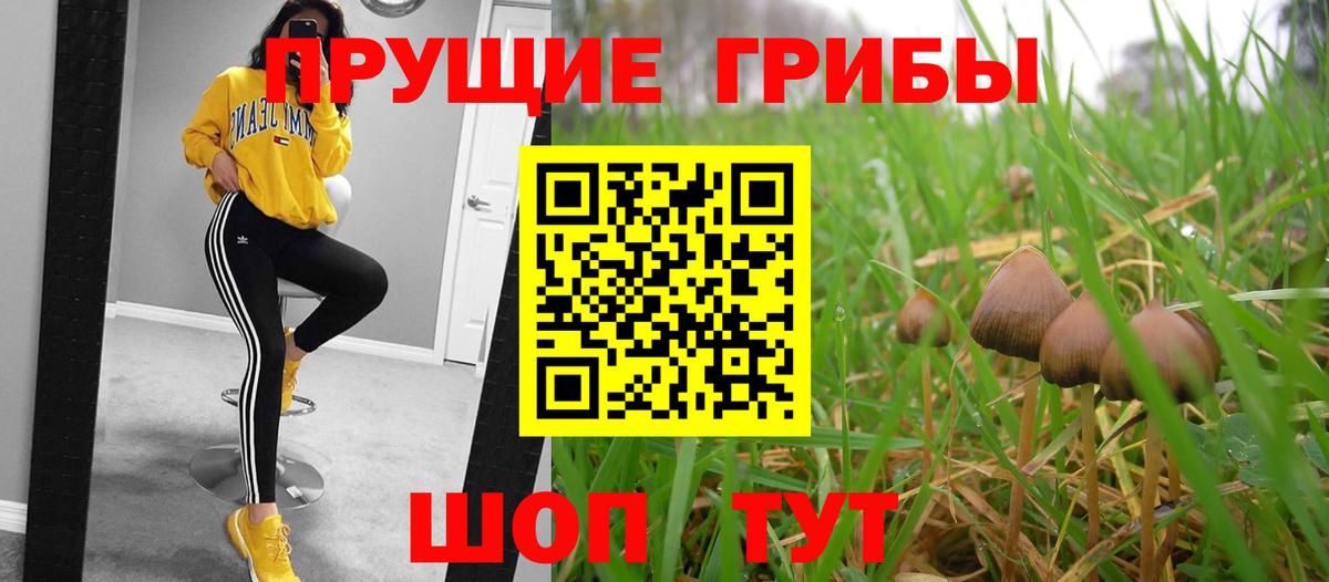 Галлюциногенные грибы Psilocybine cubensis  Галлюциногенные грибы MAGIC MUSHROOMS  Киселёвск  Вход с VPN 